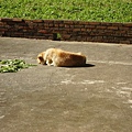 PICT4919.JPG