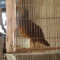 PICT4920.JPG