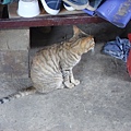 PICT4933.JPG