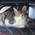 PICT4939.JPG