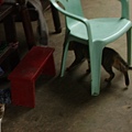 PICT4943.JPG