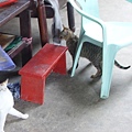 PICT4944.JPG
