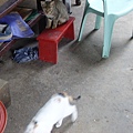 PICT4945.JPG