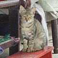 PICT4946.JPG