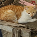 PICT4951.JPG