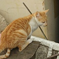 PICT4953.JPG