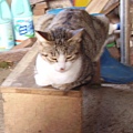 PICT5116.JPG