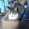PICT5117.JPG