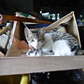 PICT5119.JPG