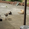 PICT5124.JPG