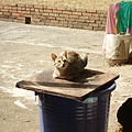 PICT5125.JPG