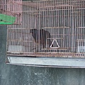 PICT5127.JPG