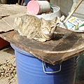 PICT5128.JPG