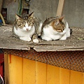 PICT5130.JPG