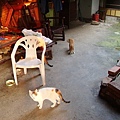 PICT5859.JPG