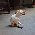 PICT5860.JPG