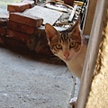 PICT5861.JPG