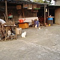 PICT5872.JPG