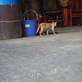 PICT5881.JPG
