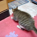 PICT5923.JPG