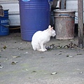 PICT5940.JPG