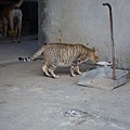PICT5942.JPG