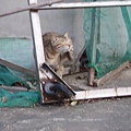 PICT5943.JPG