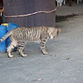 PICT5944.JPG