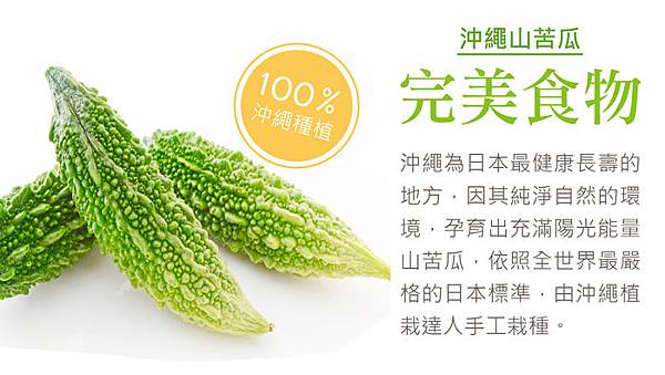 011351332_file_601524 試用