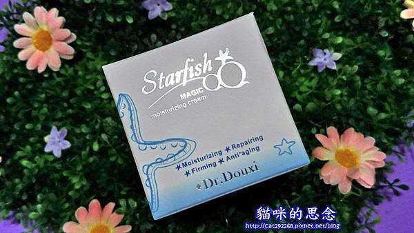 PhotoCap_2.jpg 試用