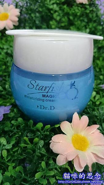 PhotoCap_12.jpg 試用