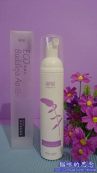 PhotoCap_4.jpg 試用