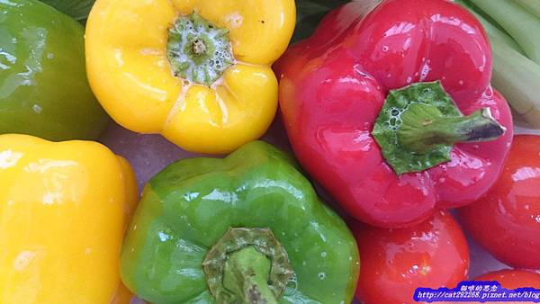 PhotoCap_9.jpg 試用