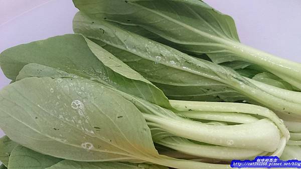 PhotoCap_10.jpg 試用