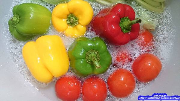 PhotoCap_11.jpg 試用