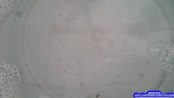 PhotoCap_12.jpg 試用