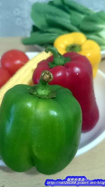 PhotoCap_13.jpg 試用