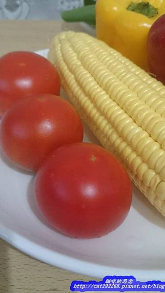 PhotoCap_14.jpg 試用