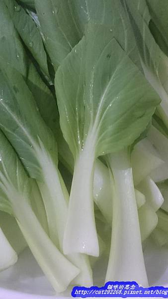 PhotoCap_15.jpg 試用