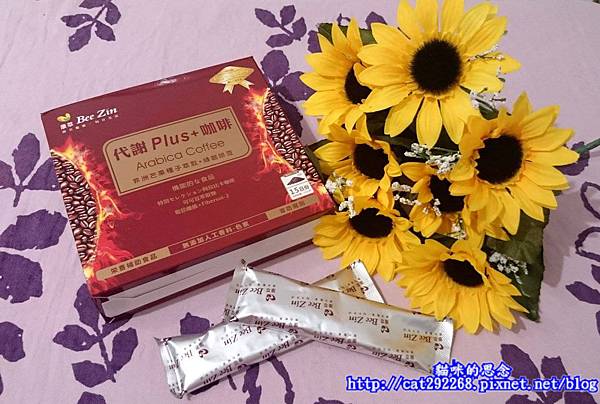 PhotoCap_1.jpg 試用