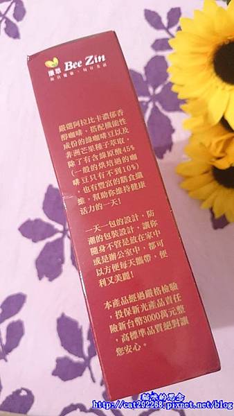 PhotoCap_5.jpg 試用