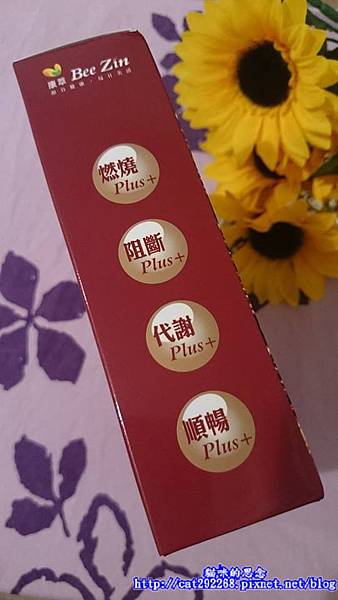 PhotoCap_6.jpg 試用