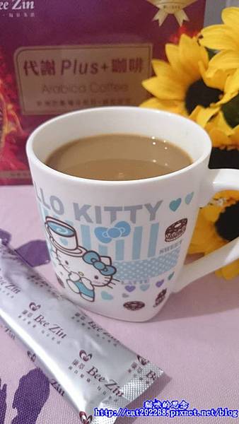 PhotoCap_10.jpg 試用