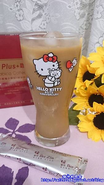 PhotoCap_11.jpg 試用