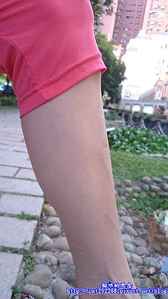 PhotoCap_10528108_985002514864600_1096895383_n.jpg 試用