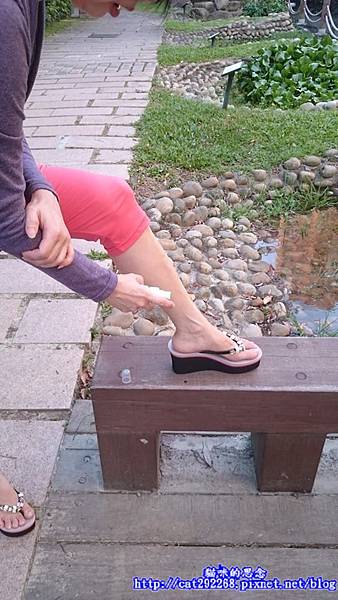 PhotoCap_11277961_985001431531375_332068836_n.jpg 試用