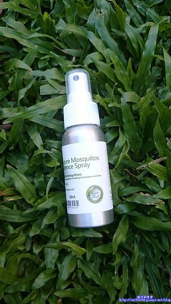 PhotoCap_11642049_985000974864754_377333090_o.jpg 試用