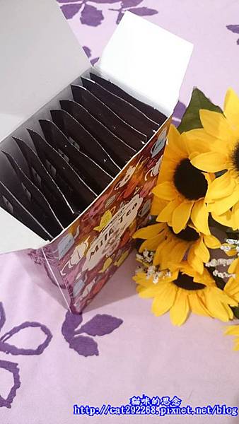 PhotoCap_5.jpg 試用