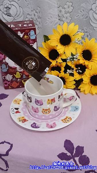 PhotoCap_9.jpg 試用