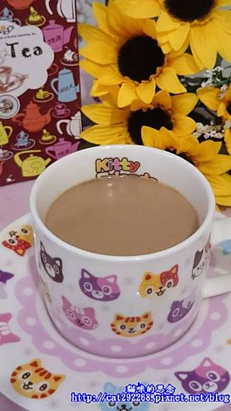 PhotoCap_11.jpg 試用